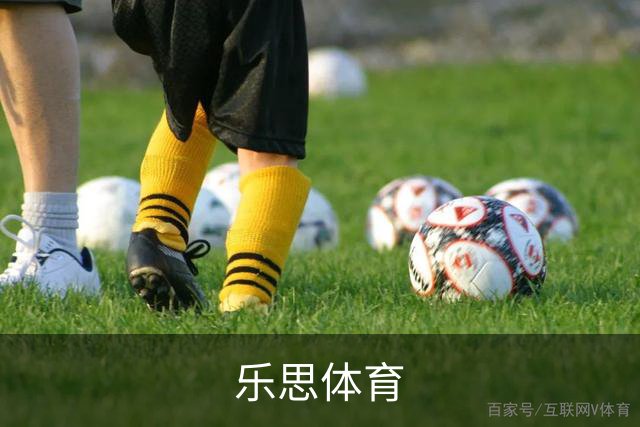乐思体育公司简介图片